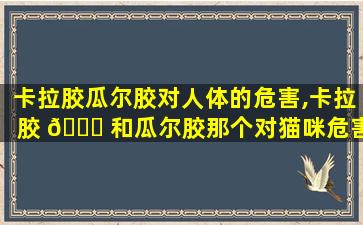 卡拉胶瓜尔胶对人体的危害,卡拉胶 🐅 和瓜尔胶那个对猫咪危害大一点
